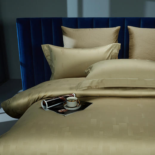 【春上新】10楼 安睡宝 长绒棉色织提花四件套-德里克 吊牌价4599-4899元 活动价1799-1999元 商品图2