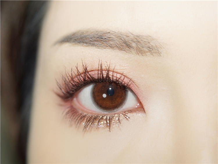 SunYior秀儿 camellia brown 小山茶