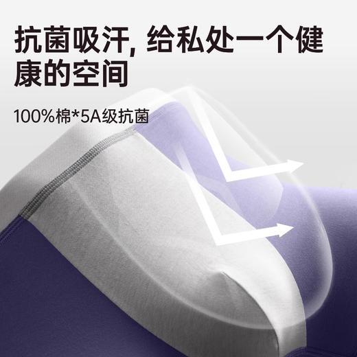 洁丽雅3条装莫代尔男士内裤中腰平角短裤男纯棉内裆青年四角内裤 商品图3