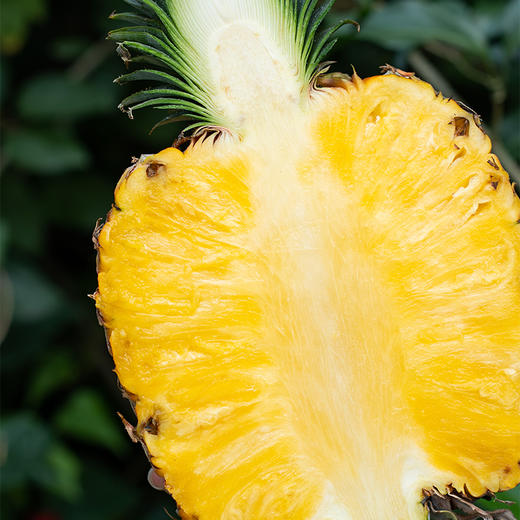 海南芒果凤梨（稀缺品种，货真的很少，我们等了好长时间，才能到一点点货） 商品图2