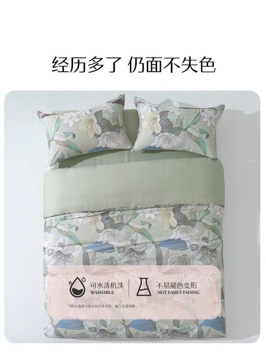 水星家纺全棉四件套纯棉套件卧室床单被套床上用品 商品图4