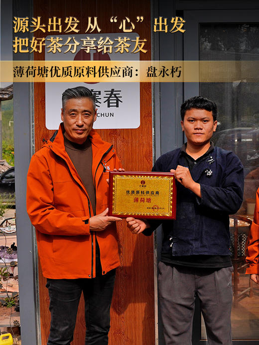 2024年【薄荷塘】超II类古树王 生而尊贵自带光环，店铺连续多年的“销量王”“复购王” 云南普洱茶生茶 357克/饼 拍5发6拍20发25 商品图1