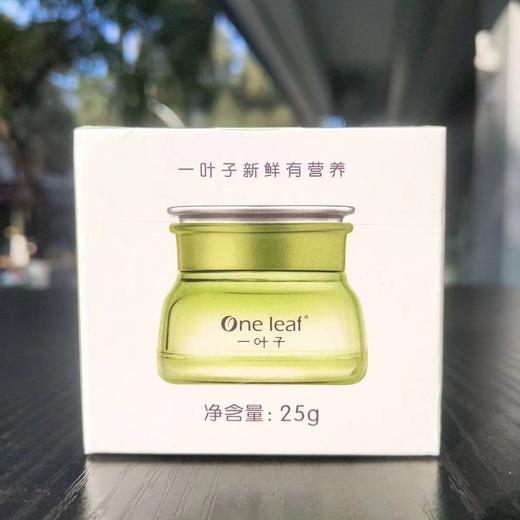 一叶子橄榄芽鲜补水保湿眼霜-4532 商品图4