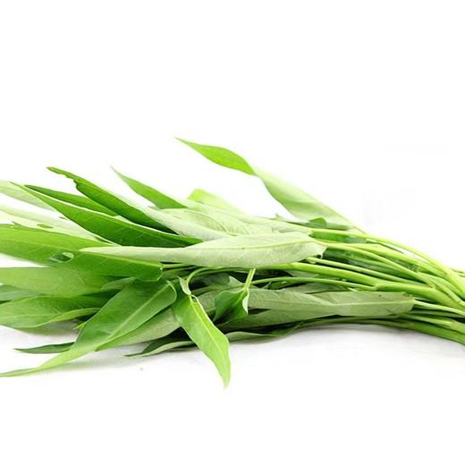 空心菜（约500g) 商品图2