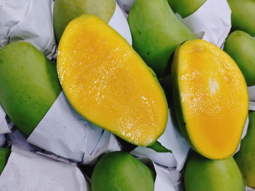 青芒四斤 商品图1