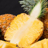 海南芒果凤梨（稀缺品种）一个水果两种风味，芒果+菠萝的完美结合，香甜如蜜，水分充足，风味浓郁，头冠小~身体大胖嘟嘟，产量稀少，能吃上的人不多~ 商品缩略图3