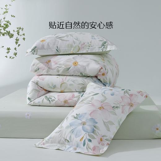 水星家纺40支全棉三/四件套纯棉印花亲肤套件床上用品 商品图1