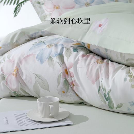 水星家纺40支全棉三/四件套纯棉印花亲肤套件床上用品 商品图2