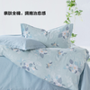 百丽丝家纺全棉3/4件套亲肤柔软简约透气清雅恋歌 商品缩略图1