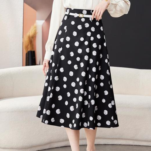 波点半身裙女2024春装新款中长款A字裙大摆裙气质伞裙1779 商品图3