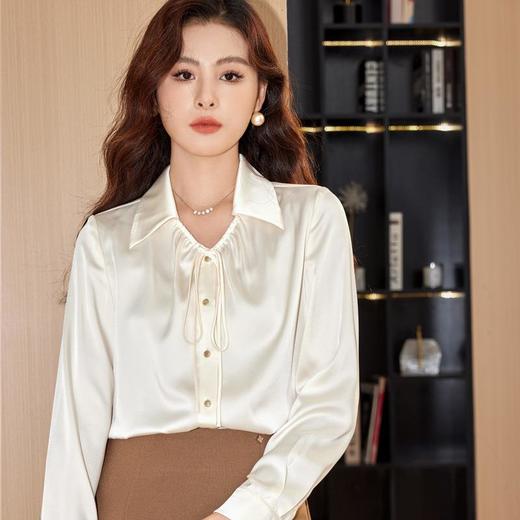 醋酸缎面雪纺衫女上衣2024春装新款洋气小衫长袖女衬衣8886 商品图1
