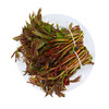 密云东智香椿芽  香椿  鲜嫩清香  味浓  密云八宝之一   250g 商品缩略图9