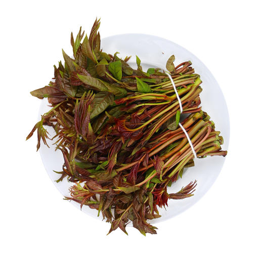 密云东智香椿芽  香椿  鲜嫩清香  味浓  密云八宝之一   250g 商品图9