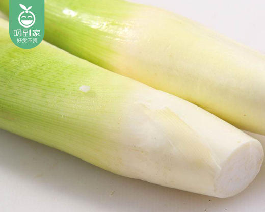 春菜·漳州新鲜带壳茭白（1.5kg±50g/份） 商品图1