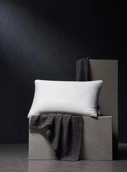 【6F】寐莱赛尔纤维枕48*78 商品图0