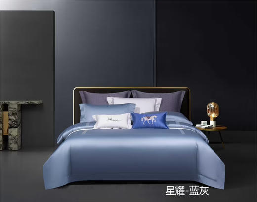 明超长绒棉绣花四件套200x230cm 商品图0