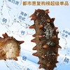 入选复购冠军榜单【6年足龄大个头】大连鲜食海参都市惠定制：长山列岛6年足龄种参 商品缩略图1
