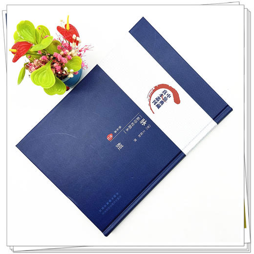 脉经 影印校勘本 中医典藏真本丛刊 张永泰 校订 中国中医药出版社 商品图2