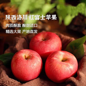 枝悦 陕西洛川红富士苹果 脆甜多汁 产地直发 72小时发货（果蔬生鲜签收24小时内保留完整包装面单可售后，超时不予理赔，拍下默认接受）
