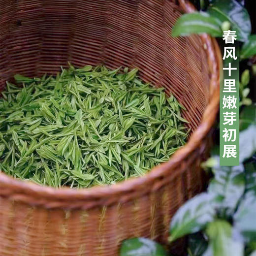  【西湖龙井礼盒两款】高山出好茶，源于核心区。色绿、香郁、味甘、形美。每一口，都是江南的春天。 商品图2