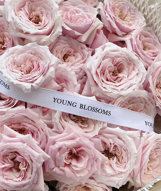 国产玫瑰-【小粉兔】 商品图0