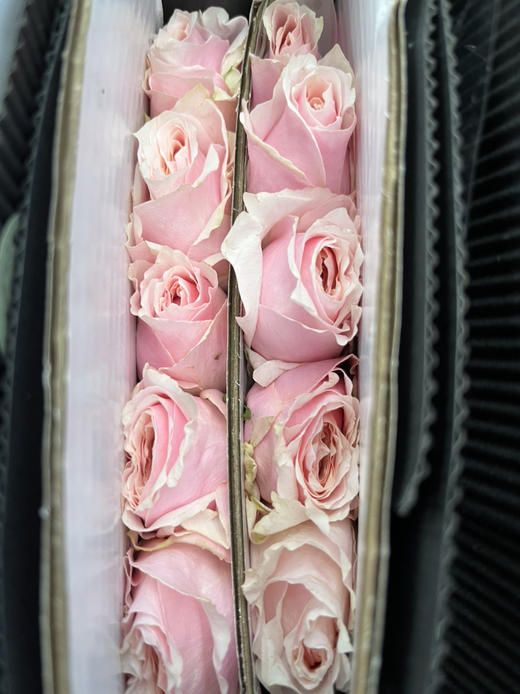 国产玫瑰-【小粉兔】 商品图2