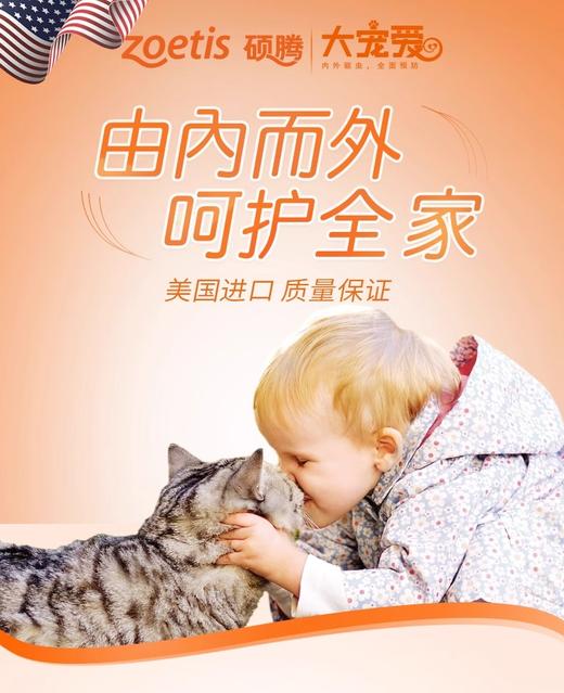 大宠爱2.5kg以下狗狗猫咪通用体外驱虫药蜱虫跳蚤驱虫药滴剂3支/盒装 商品图3