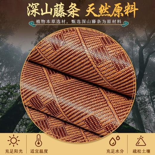 高档加厚藤席1.8米2米床软凉席家用双面冰丝席 商品图4