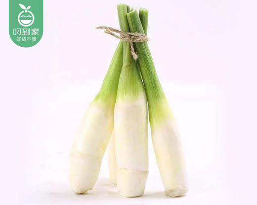 春菜·漳州新鲜带壳茭白（1.5kg±50g/份） 商品图3