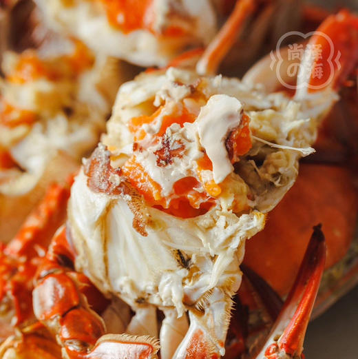 舟山春季红膏蟹梭子蟹（母蟹）保鲜不保活顺丰空运包邮下单从浙江发货 商品图5