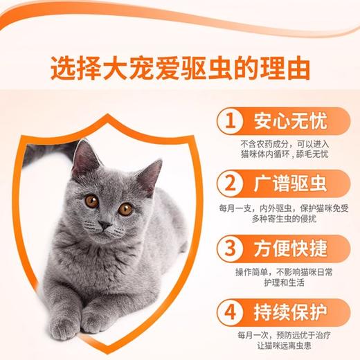 大宠爱2.6-7.5kg猫用体内外一体驱虫滴剂除跳蚤猫咪驱虫药三支/盒 商品图1