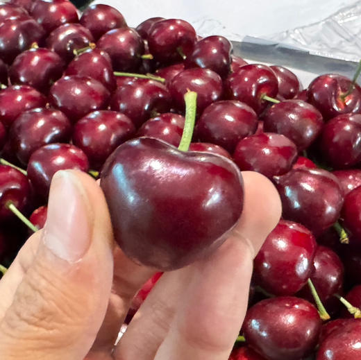 Sc大樱桃 商品图0