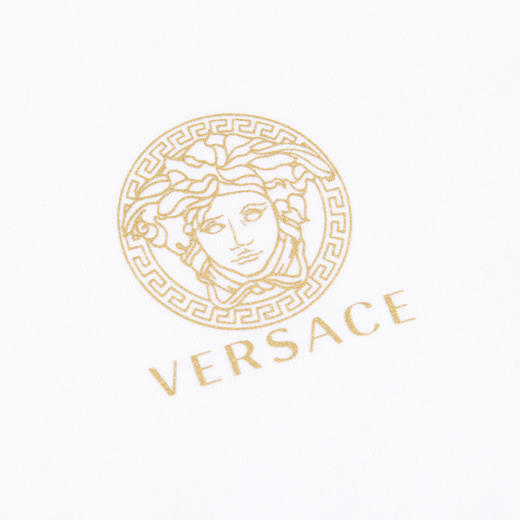 【超惠秒】VERSACE 范思哲 男士经典美杜莎logo圆领短袖T恤 12042/11865/10213 商品图9