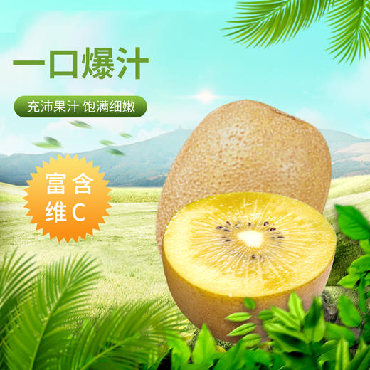 D瑞丰林猕猴桃特大果20枚装 商品图2