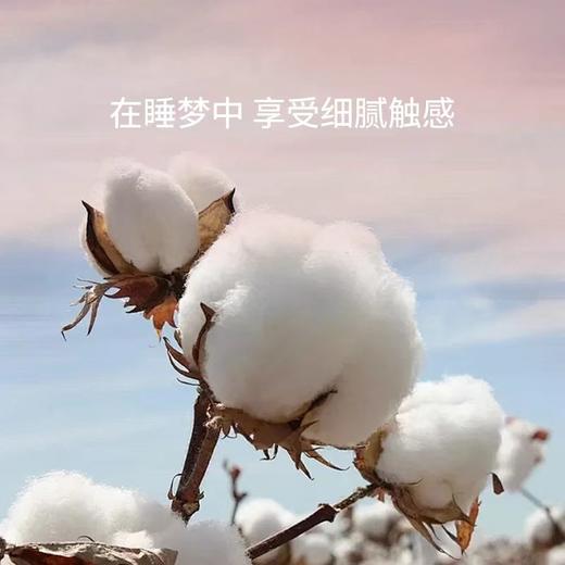 【6F】寐长绒棉色织提花四件套：丁香 商品图3