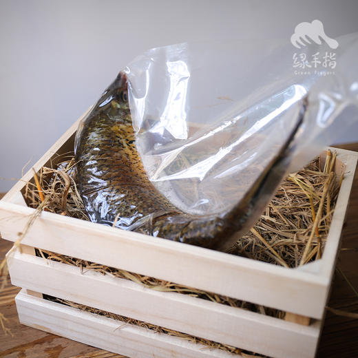 生态土鲮鱼（冷冻，全国可下单）| 合作生产 * Eco- Dace | Coproduction 商品图4