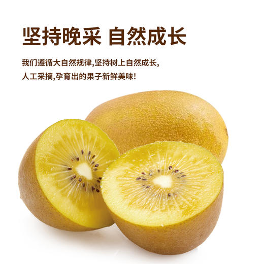 D瑞丰林猕猴桃特大果20枚装 商品图1