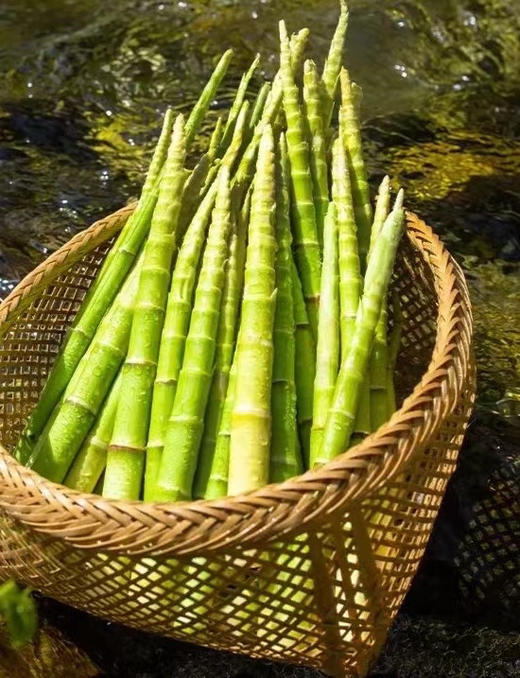 地道野生小竹笋，生长在广西兴安高山野林中，小山笋体型细长，却有厚而且硬的一层笋壳，包着细而脆嫩的笋肉，找到容易，采摘也不费功夫，但要吃到它，却是个考验耐心和技巧的活计。800克/份 商品图0