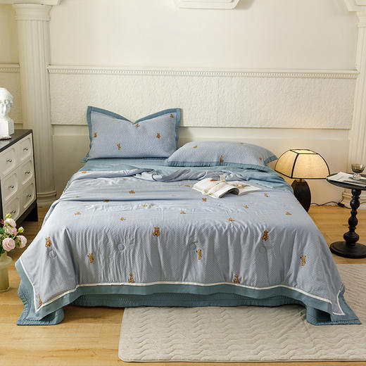 顶柔舒芙蕾夏被-BX2222 商品图9
