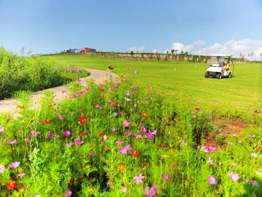 济南节假日营 商品图2