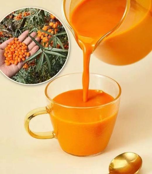 今天59元到手80袋❗ 我觉得“疯”了❗【100%沙棘原浆】配料表只有沙棘❗️✅沙棘含有的维生素C，是猕猴桃的4倍，山楂的20倍👍 商品图12