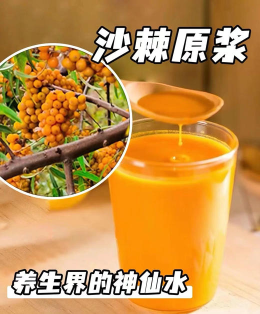 今天59元到手80袋❗ 我觉得“疯”了❗【100%沙棘原浆】配料表只有沙棘❗️✅沙棘含有的维生素C，是猕猴桃的4倍，山楂的20倍👍 商品图0