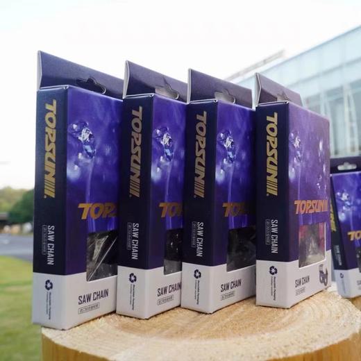 中坚进口链条（上市企业） 商品图0