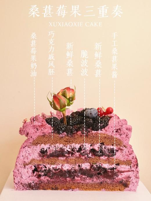 【桑葚莓果三重奏】满满的花青素蛋糕，酸甜可口（孕妇不可食用） 商品图3