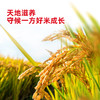 【包邮】【稻花香2号】海天地理印记有机五常大米5kg*1五常核心产区源头直采 商品缩略图2