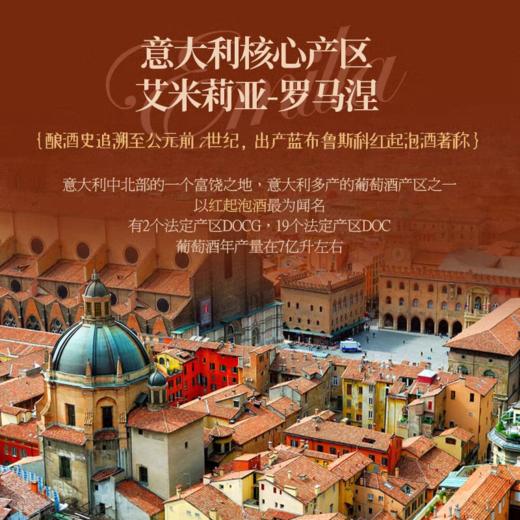 【极品小众产区 艾米莉亚-罗马涅】彼里西恩·蓝布鲁斯科红起泡葡萄酒  意大利原瓶进口 8%vol 商品图5