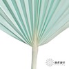 永生花材 | 棕榈叶浅蓝 商品缩略图1