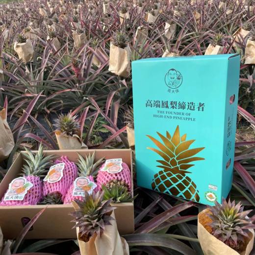 海南树上熟金钻凤梨 长的狂野，甜的专一 118项农残0检出报告+有机认证 商品图12