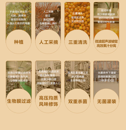 沃福百瑞 沙棘油沙棘原浆 商品图12