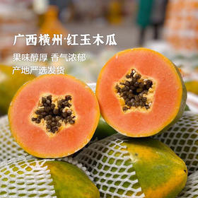 枝悦 广西横州红玉木瓜5斤/9斤 肉质细腻 多汁水嫩 72小时发货（果蔬生鲜签收24小时内保留完整包装面单可售后，超时不予理赔，拍下默认接受）